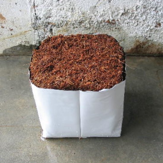  Coco Product Solutions