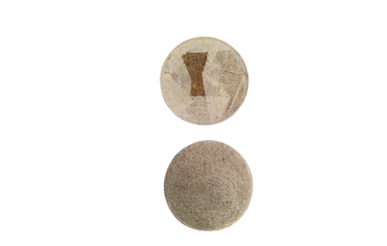 JSV coco products Cocopeat Discs