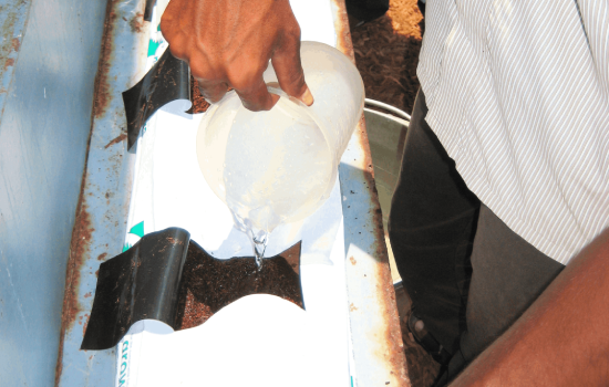 JSV coco products Grow Bags