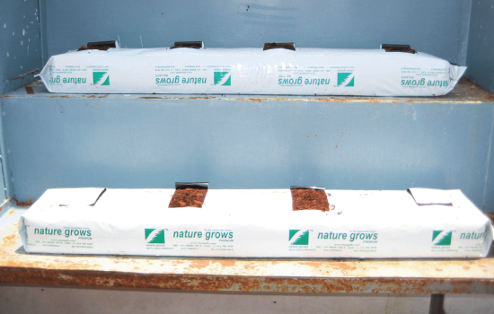 JSV coco products Grow Bags